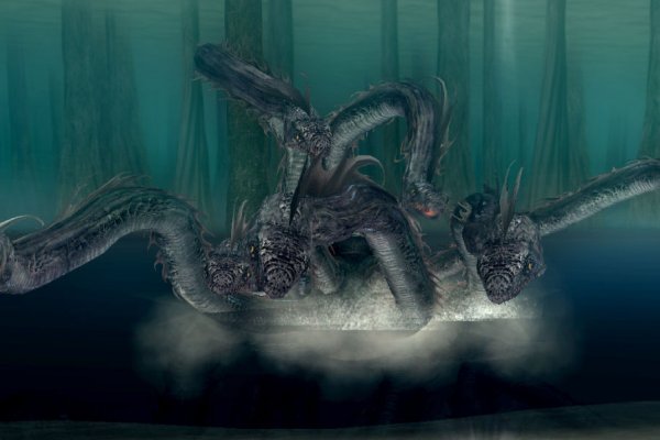 Kraken site